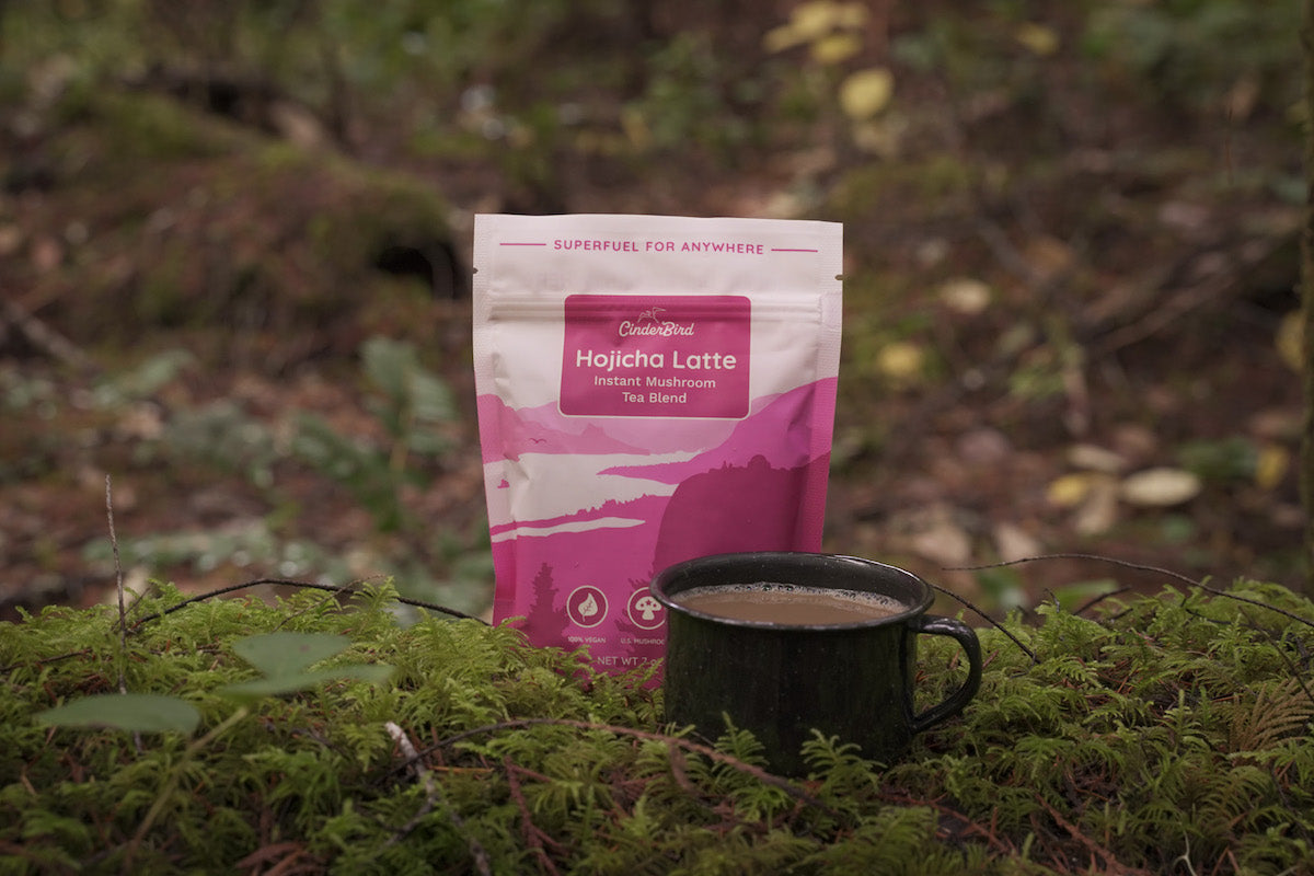 Hojicha latte on a mossy log in the forest