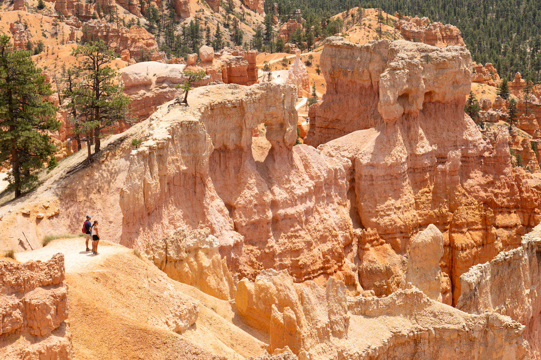 The 5 Most Popular National Parks in The U.S.