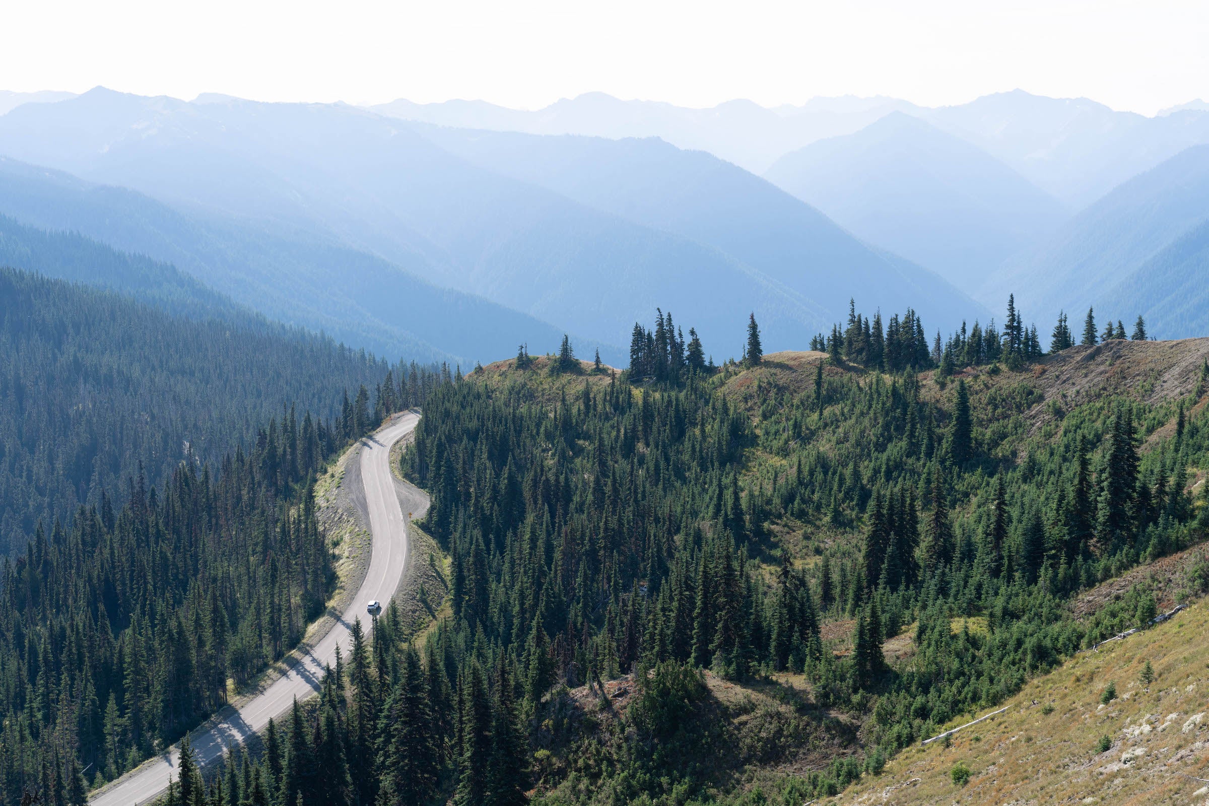 Undulating foothills in Olympic National Park